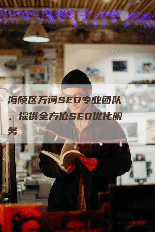 海陵区万词SEO专业团队，提供全方位SEO优化服务-网站排名优化网