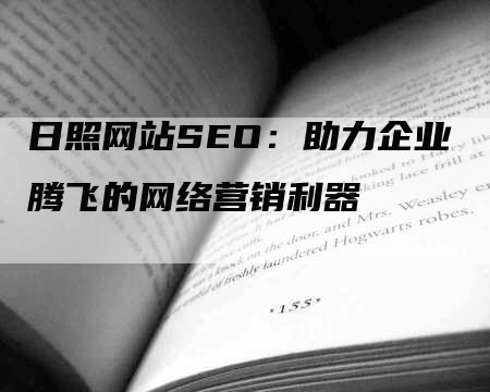 日照网站SEO：助力企业腾飞的网络营销利器-网站排名优化网