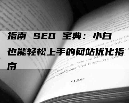 指南 SEO 宝典：小白也能轻松上手的网站优化指南-网站排名优化网