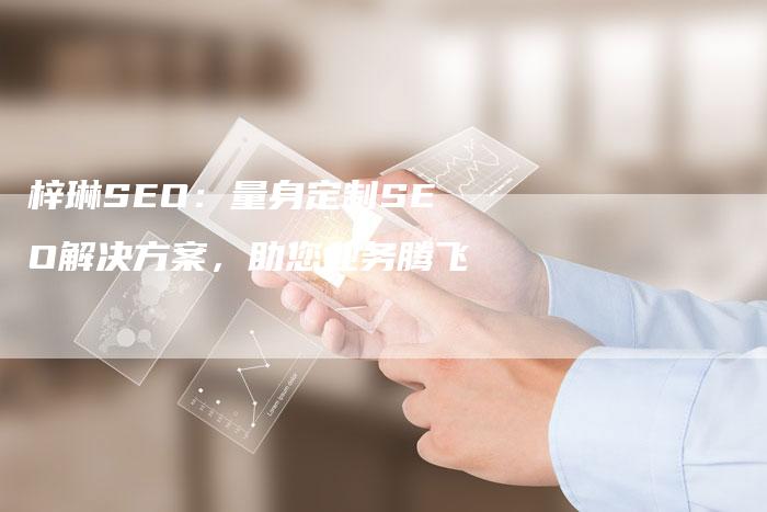 梓琳SEO：量身定制SEO解决方案，助您业务腾飞