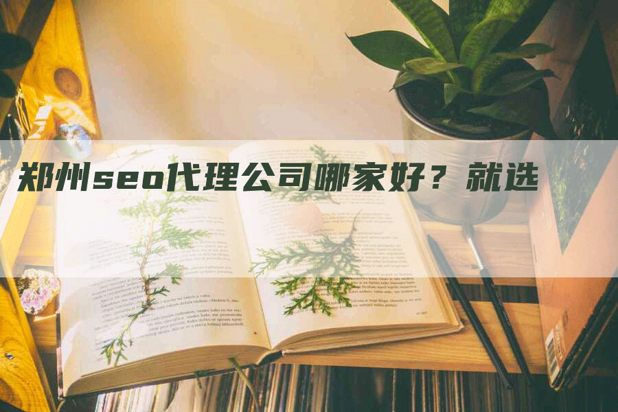 郑州seo代理公司哪家好？就选-网站排名优化网