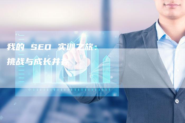 我的 SEO 实训之旅：挑战与成长并存