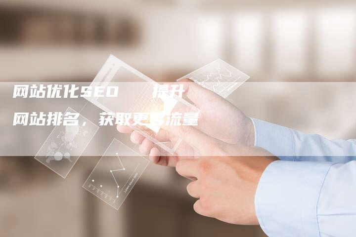 网站优化SEO   提升网站排名，获取更多流量