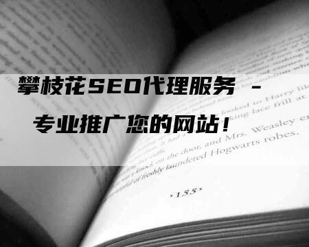 攀枝花SEO代理服务 - 专业推广您的网站！-网站排名优化网