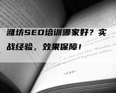 潍坊SEO培训哪家好？实战经验，效果保障！