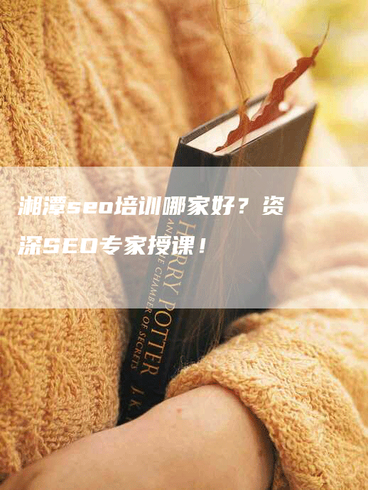 湘潭seo培训哪家好？资深SEO专家授课！-网站排名优化网