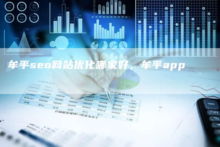 牟平seo网站优化哪家好，牟平app-网站排名优化网