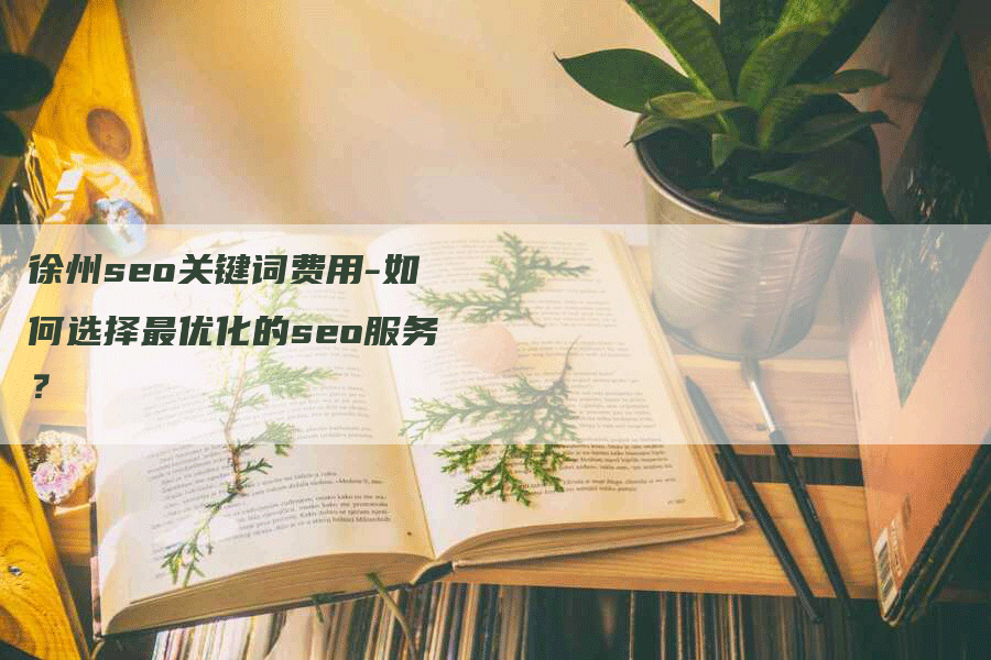 徐州seo关键词费用-如何选择最优化的seo服务？-网站排名优化网