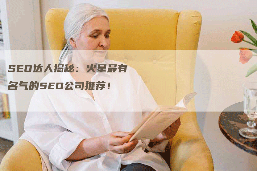 SEO达人揭秘：火星最有名气的SEO公司推荐！-网站排名优化网