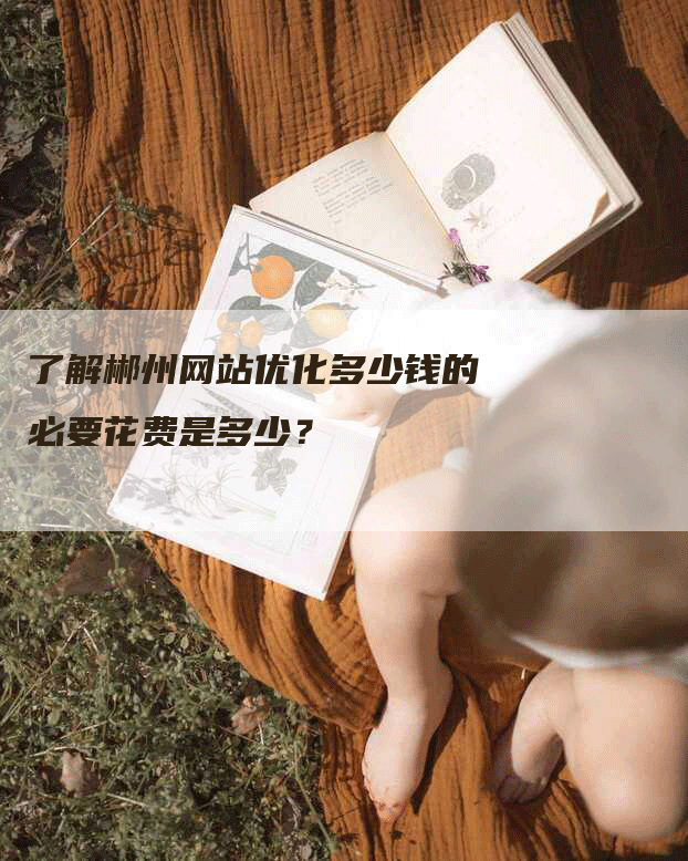 了解郴州网站优化多少钱的必要花费是多少？