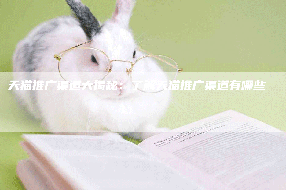 天猫推广渠道大揭秘：了解天猫推广渠道有哪些