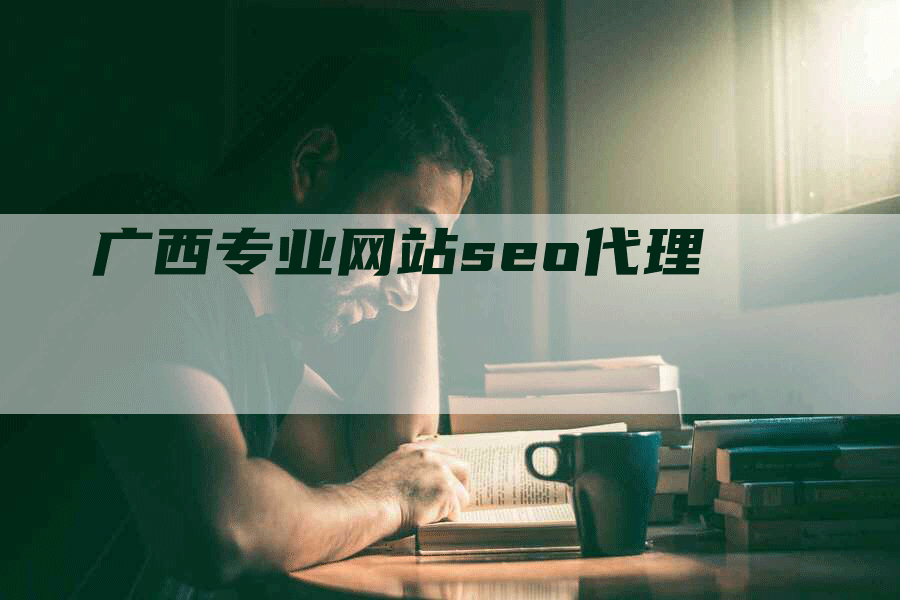 广西专业网站seo代理