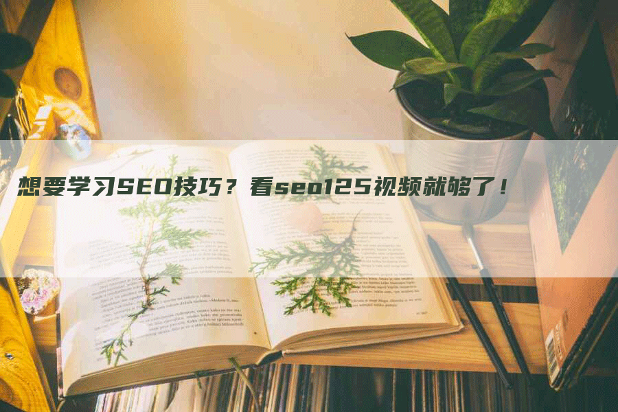 想要学习SEO技巧？看seo125视频就够了！