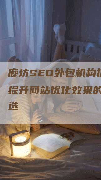 廊坊SEO外包机构推荐-提升网站优化效果的不二之选