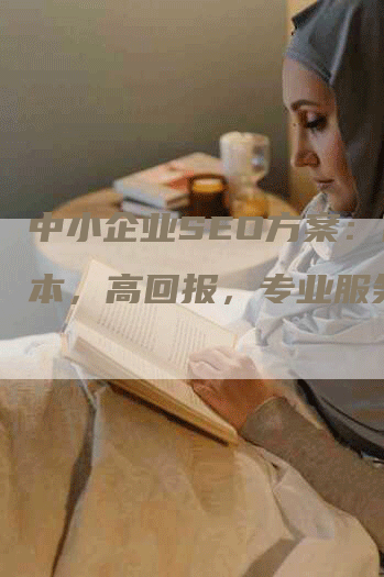 中小企业SEO方案：低成本，高回报，专业服务