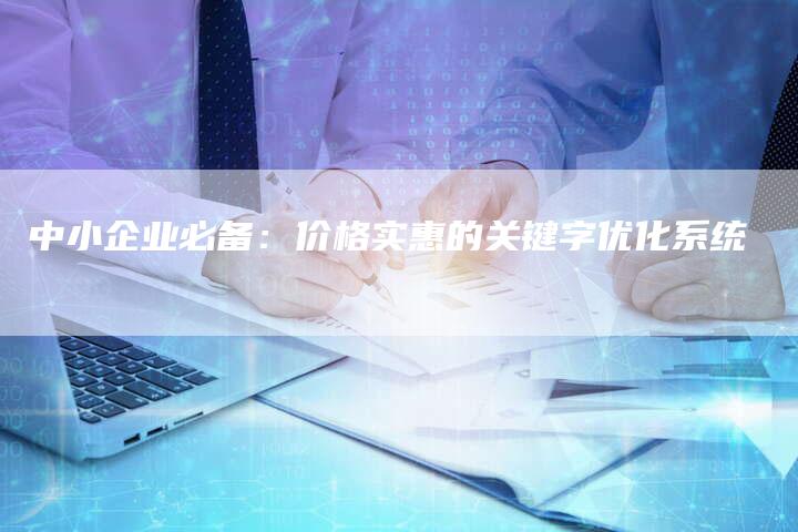 中小企业必备：价格实惠的关键字优化系统