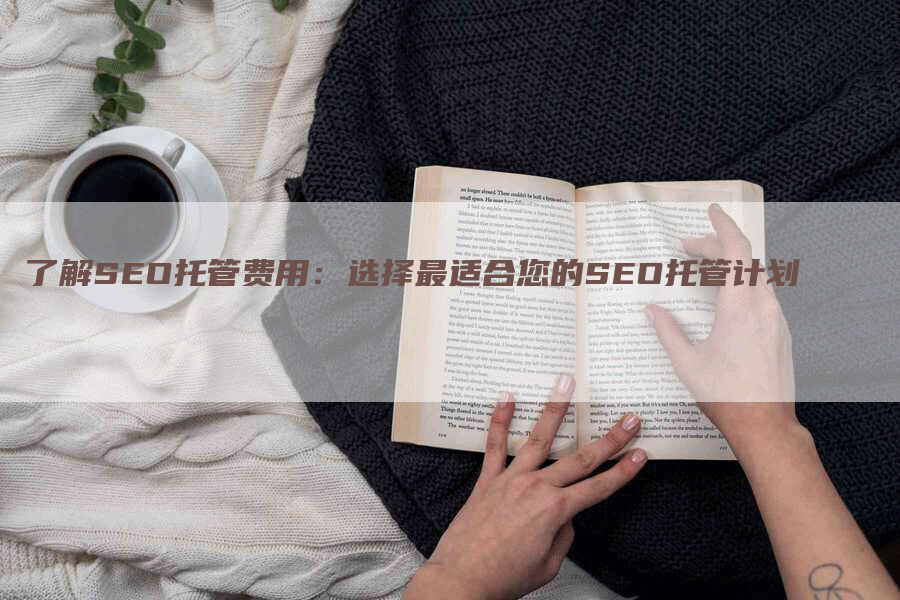 了解SEO托管费用：选择最适合您的SEO托管计划