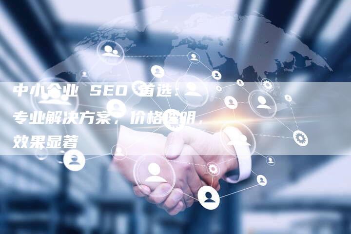 中小企业 SEO 首选：专业解决方案，价格透明，效果显著