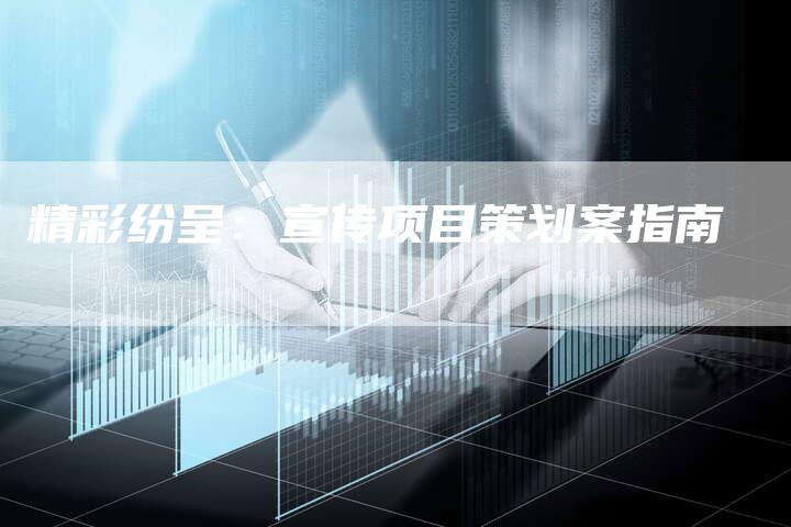 精彩纷呈：宣传项目策划案指南-网站排名优化网