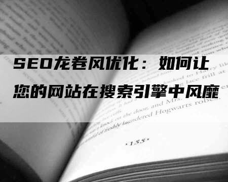 SEO龙卷风优化：如何让您的网站在搜索引擎中风靡