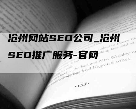 沧州网站SEO公司_沧州SEO推广服务-官网