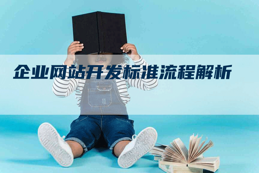 企业网站开发标准流程解析-网站排名优化网