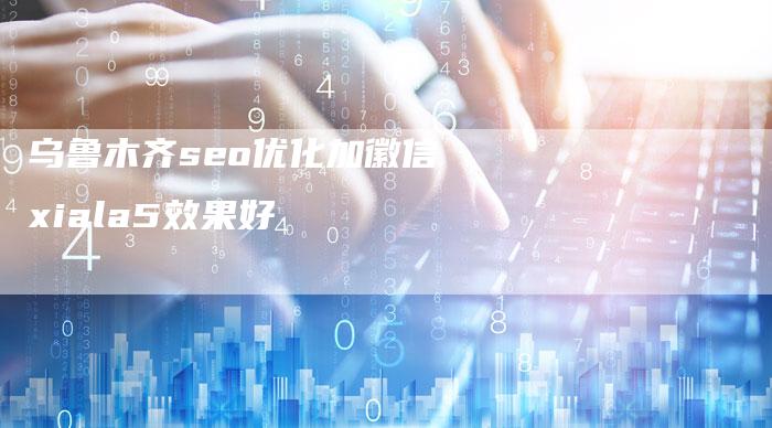 乌鲁木齐seo优化加徽信xiala5效果好-网站排名优化网