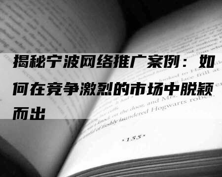 揭秘宁波网络推广案例：如何在竞争激烈的市场中脱颖而出-网站排名优化网