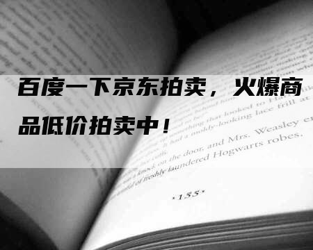 百度一下京东拍卖，火爆商品低价拍卖中！-网站排名优化网