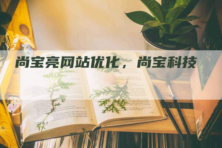 尚宝亮网站优化，尚宝科技-网站排名优化网