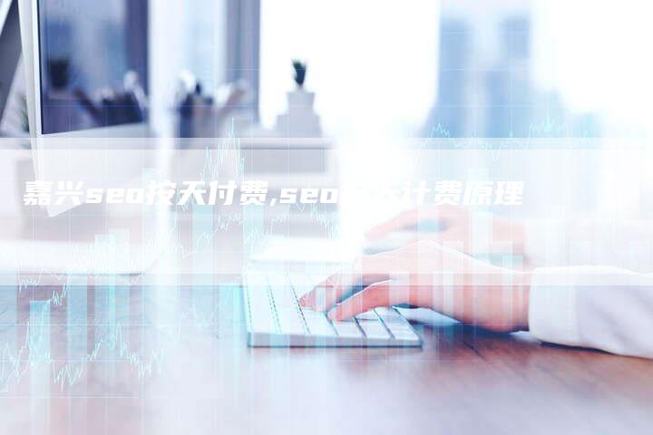 嘉兴seo按天付费,seo按天计费原理