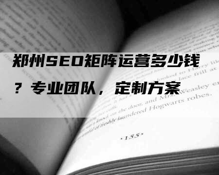 郑州SEO矩阵运营多少钱？专业团队，定制方案-网站排名优化网