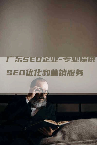 广东SEO企业-专业提供SEO优化和营销服务-网站排名优化网