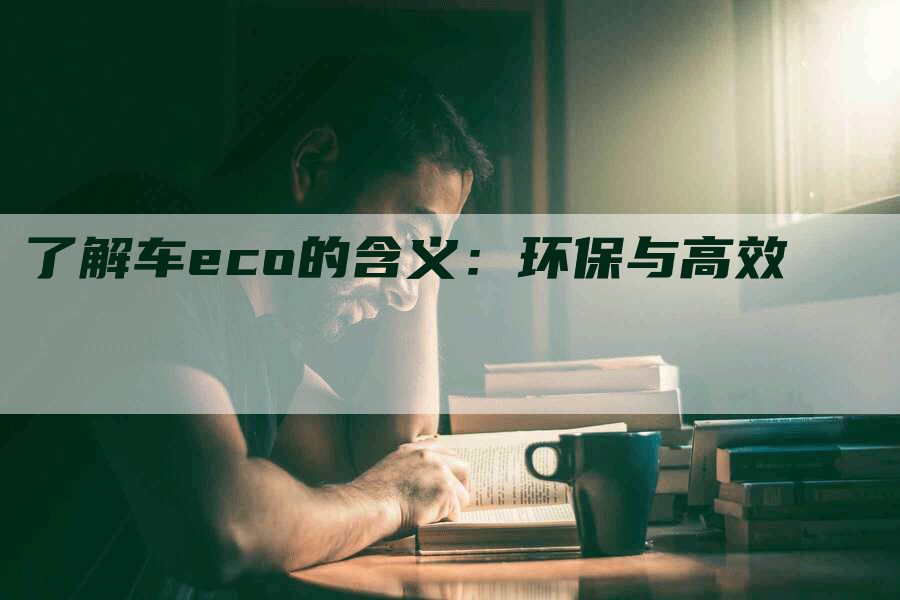 了解车eco的含义：环保与高效-网站排名优化网