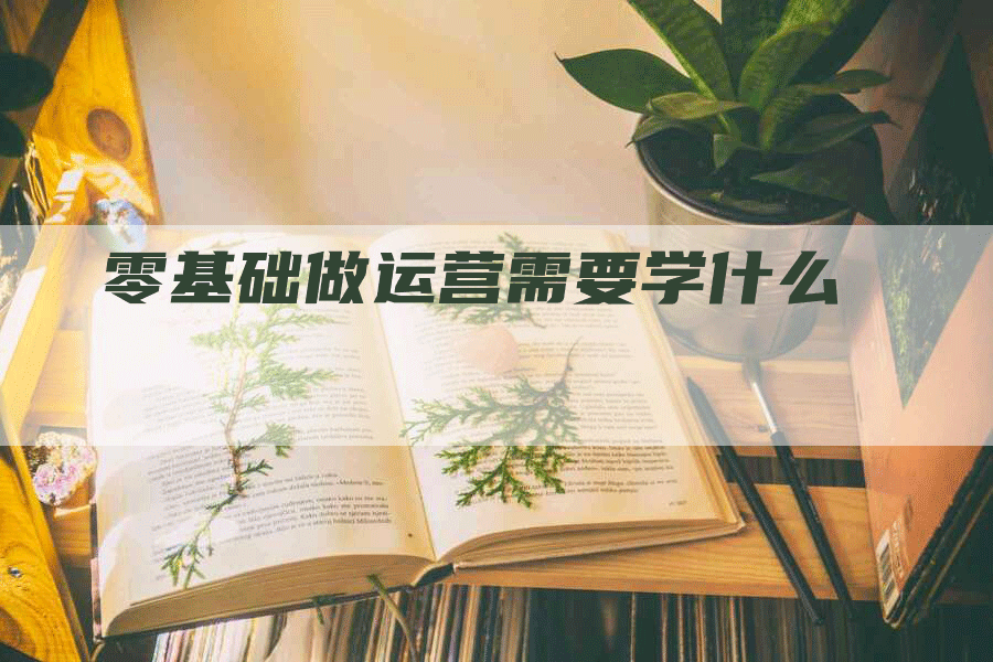 零基础做运营需要学什么