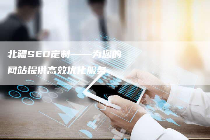 北疆SEO定制——为您的网站提供高效优化服务