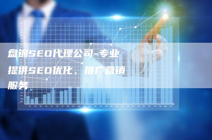 盘锦SEO代理公司-专业提供SEO优化、推广营销服务