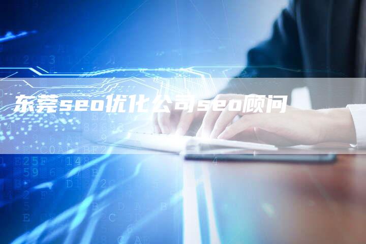 东莞seo优化公司seo顾问