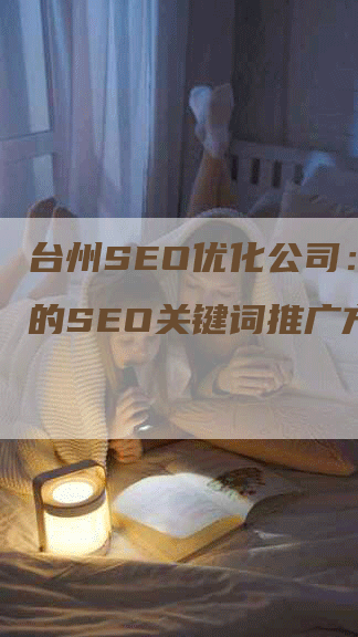 台州SEO优化公司：专业的SEO关键词推广方案-网站排名优化网