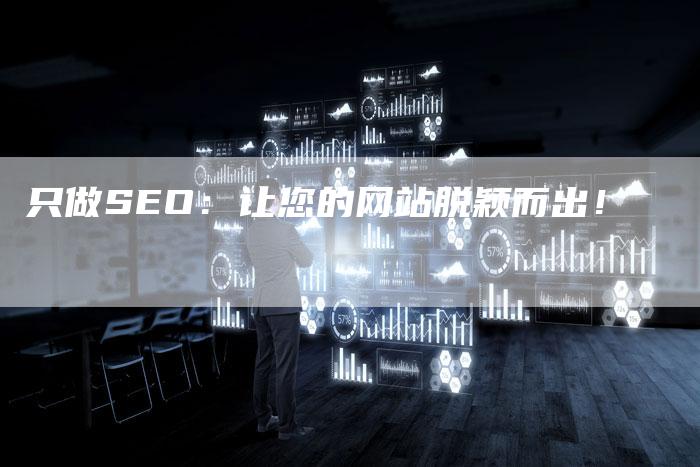 只做SEO：让您的网站脱颖而出！-网站排名优化网