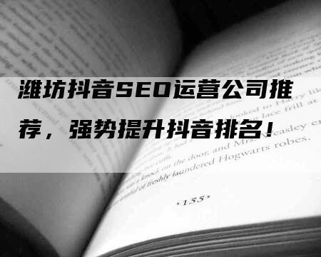 潍坊抖音SEO运营公司推荐，强势提升抖音排名！