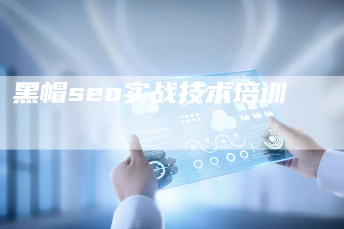 黑帽seo实战技术培训-网站排名优化网