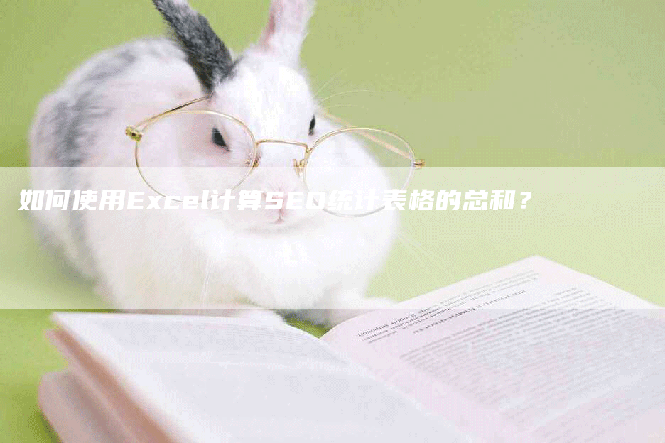 如何使用Excel计算SEO统计表格的总和？-网站排名优化网