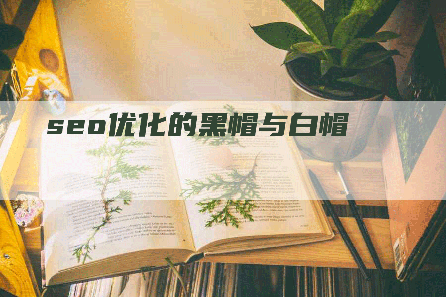 seo优化的黑帽与白帽-网站排名优化网