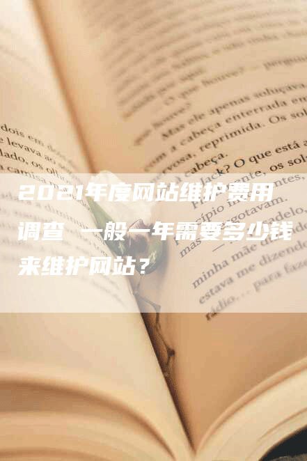 2021年度网站维护费用调查 一般一年需要多少钱来维护网站？-网站排名优化网