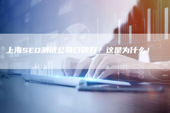 上海SEO测试公司口碑好？这是为什么！