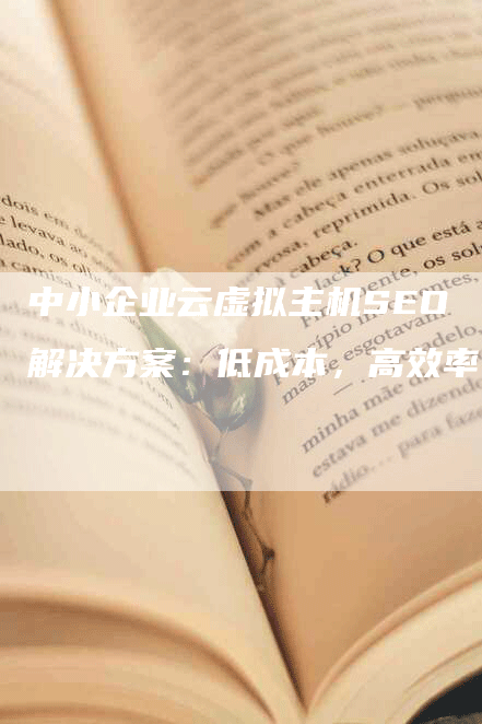 中小企业云虚拟主机SEO解决方案：低成本，高效率