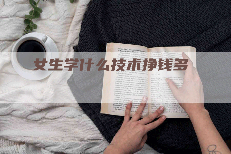 女生学什么技术挣钱多-网站排名优化网