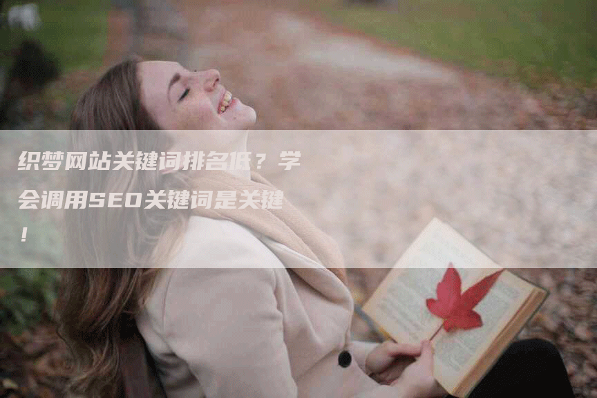 织梦网站关键词排名低？学会调用SEO关键词是关键！