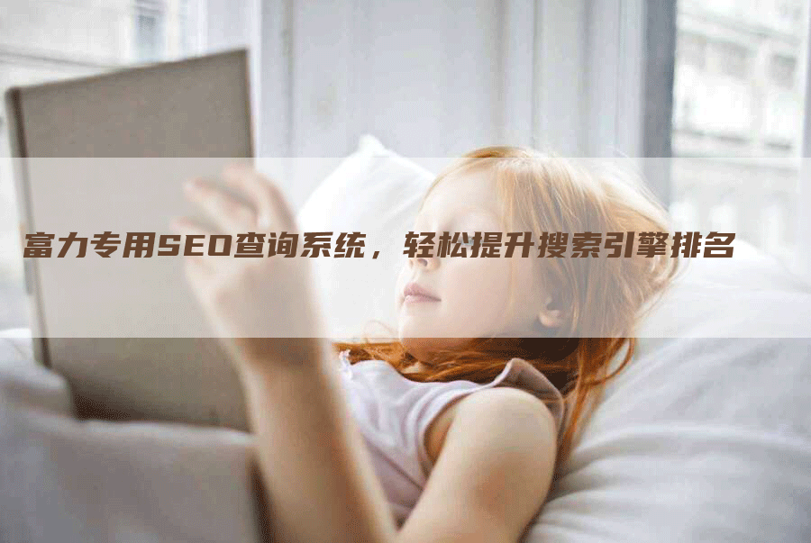 富力专用SEO查询系统，轻松提升搜索引擎排名-网站排名优化网